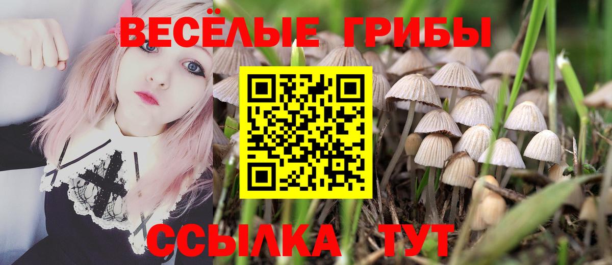 Тара  Псилоцибиновые грибы GOLDEN TEACHER  Вход с VPN 